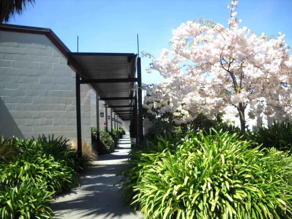 Gothic Heights Motel Christchurch Eksteriør bilde